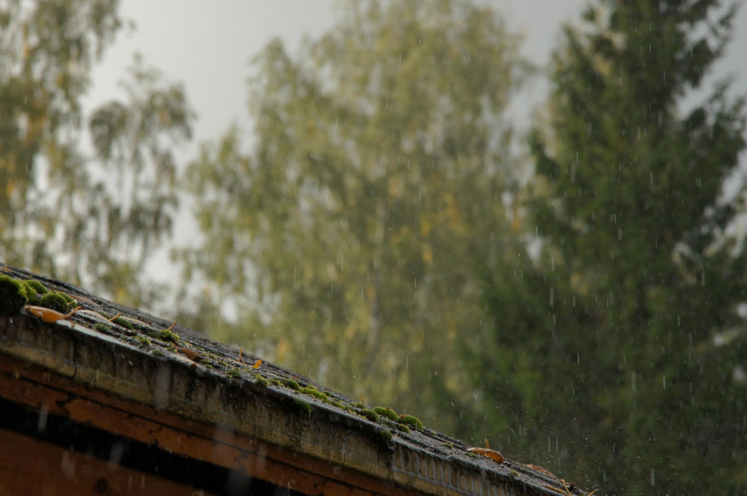 Monroe Roof for Storm Season